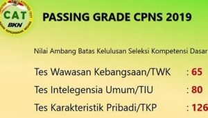 Pengumuman Hasil Akhir Tes SKD CPNS KAB KENDAL 2019